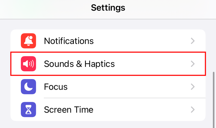 Tap "Sound and Haptics." 