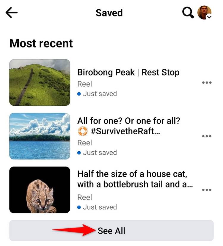 How to Find Saved Reels on Facebook on Any Device