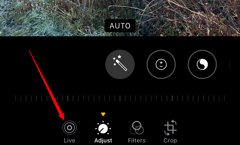 How to Extract a Still Image from a Live Photo on iPhone