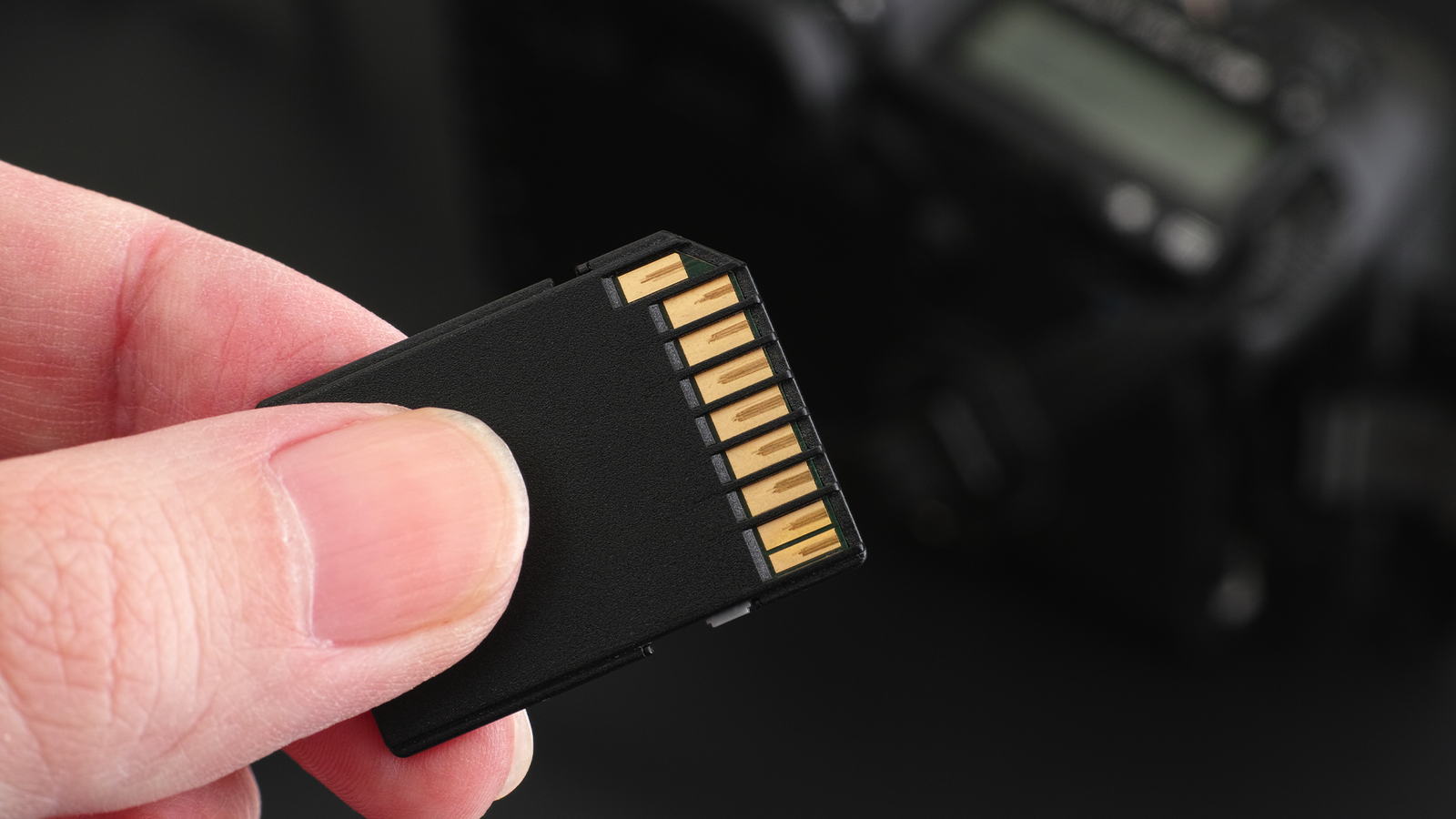 SD Card Speeds Will Double with New SD 9.1 Specification