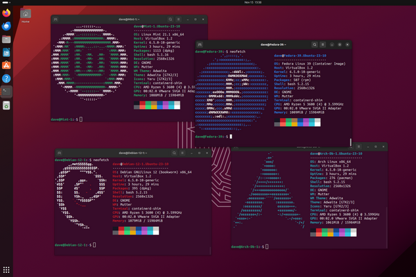 An Ubuntu desktop with Linux Mint, Arch Linux, Fedora, and Debian Linux containers open in terminal windows