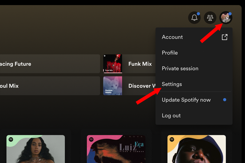 Spotify Clean Setting How to Delete Your Spotify Cache on Mobile and Desktop Devices