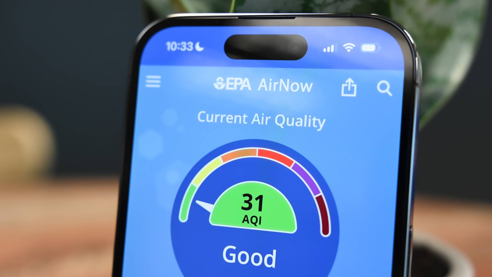 The Best Air Quality Monitors of 2025