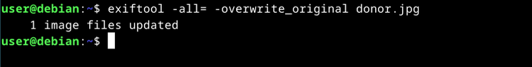 Photo Privacy on Linux: How to Strip Metadata With exiftool