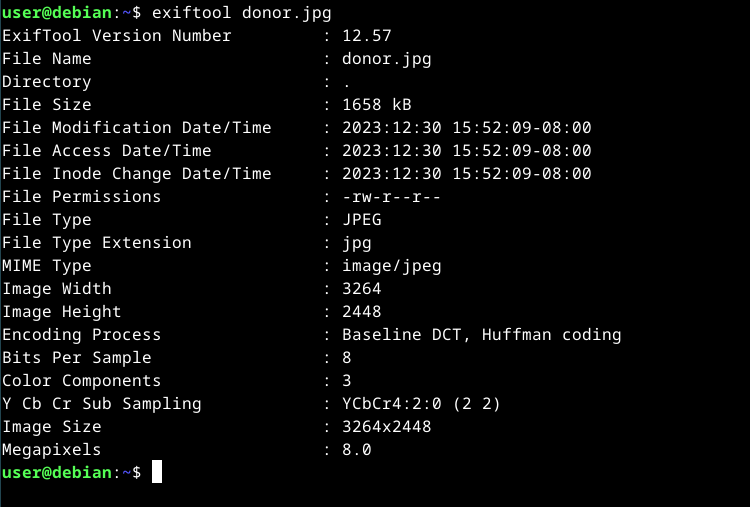 Photo Privacy on Linux: How to Strip Metadata With exiftool