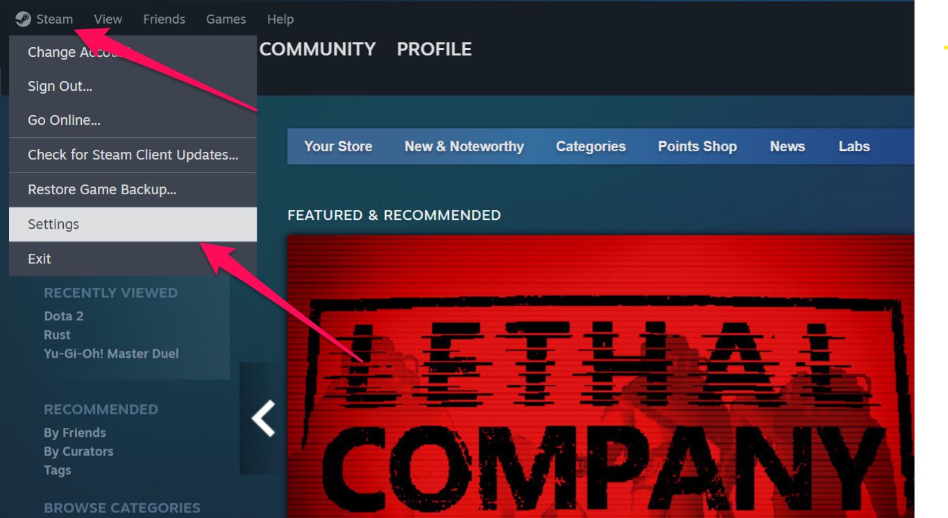 Steam Game Not Launching Try These Fixes Opening The Settings In The Steam Client 