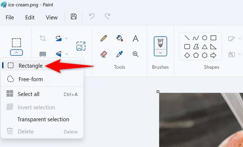 Rectangle Select Shape How to Remove an Image's Background on Windows 11