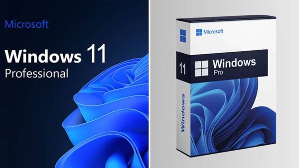 Windows 11 Professional logo next to a Windows 11 Pro software box. 
