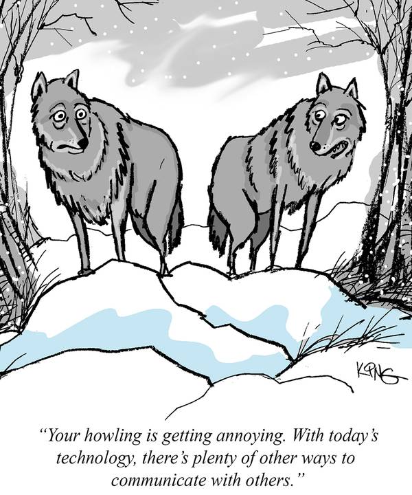 Annoying wolf comic for newsletter.