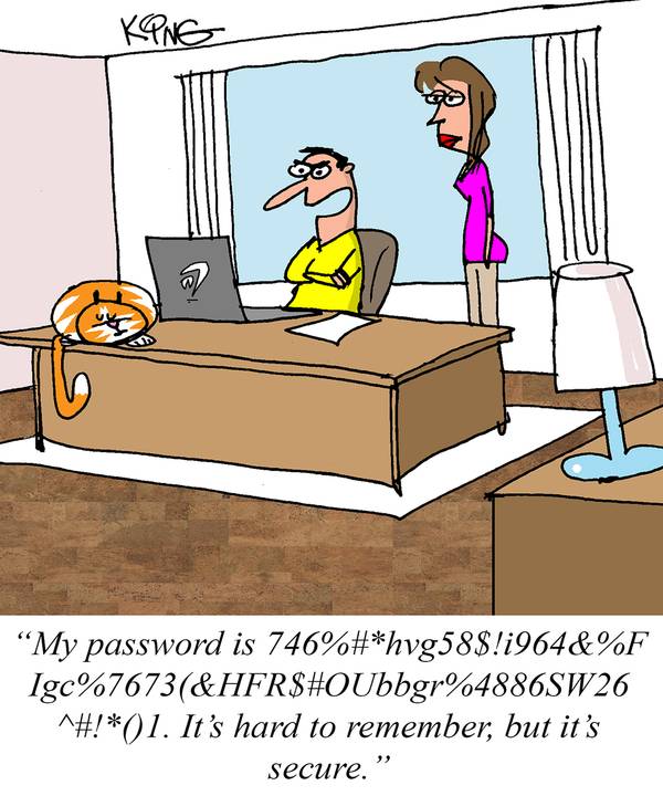 one scure password comic. 