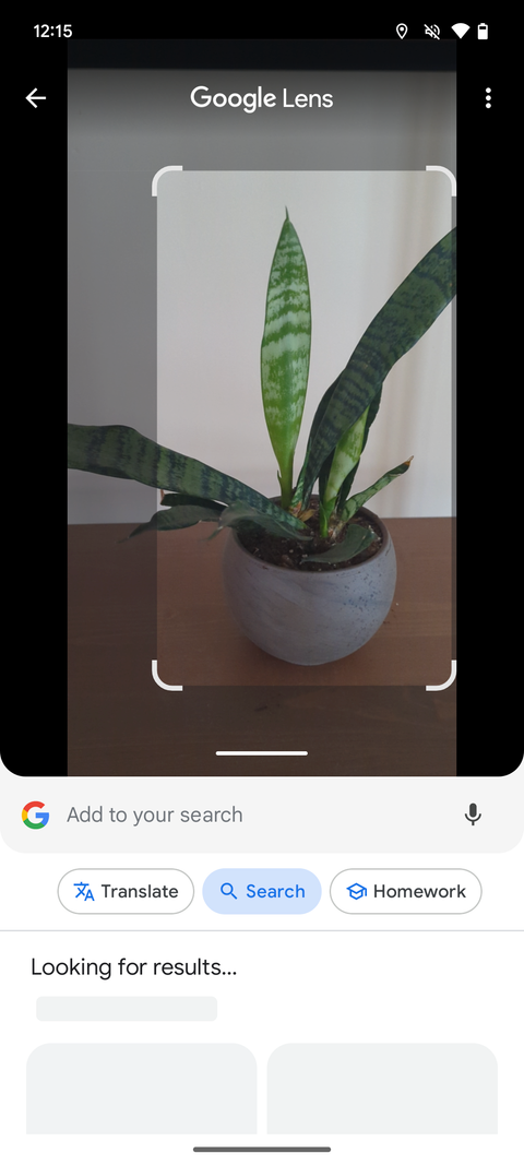 5 Best Plant Identifier Apps for Android