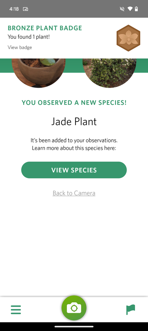 5 Best Plant Identifier Apps for Android