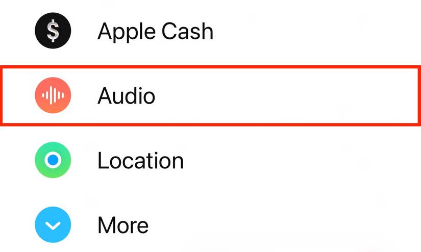 How to Send a Voice Message on an iPhone