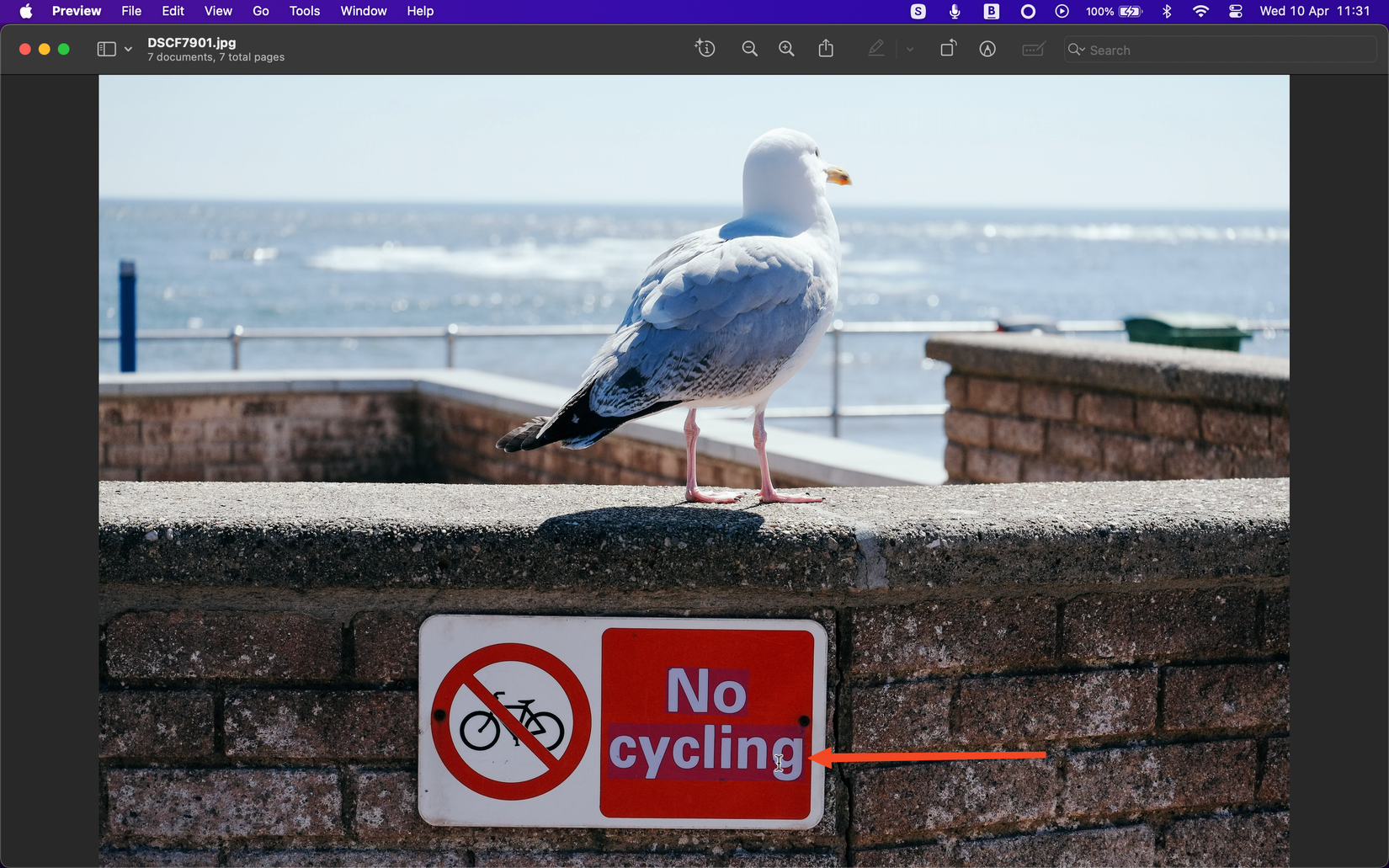 Preview Copy 12 Things You Didn’t Know You Could Do in the Preview App on a Mac