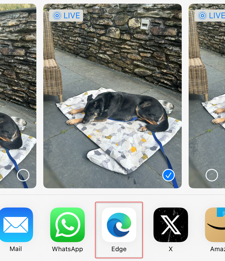 I Wasted So Much Time Sending Files to Myself, Then I Found This Tool