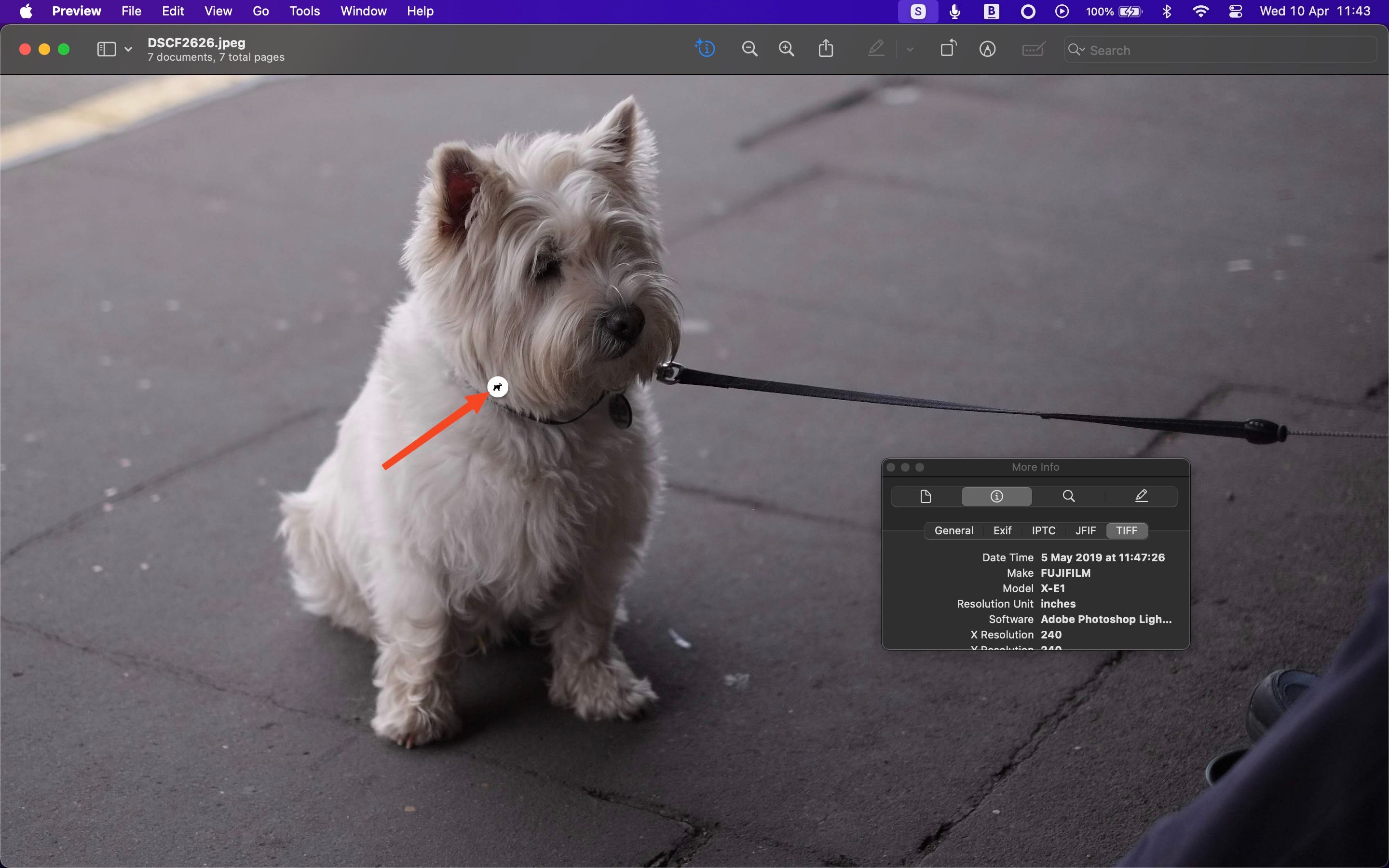 12 Things You Didn’t Know You Could Do in the Preview App on a Mac
