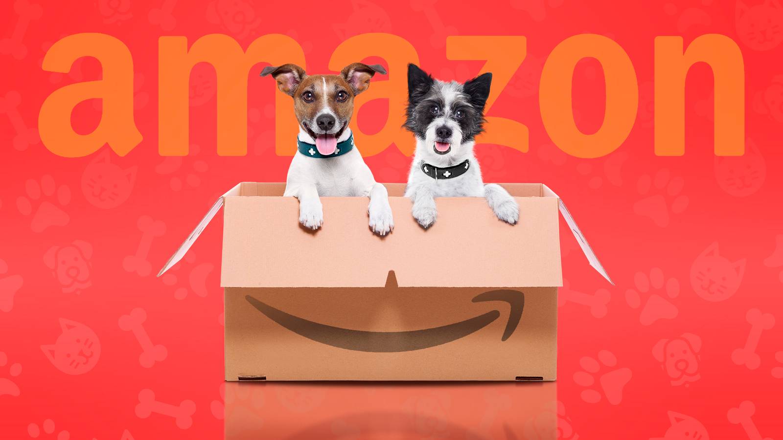 The Best Amazon Pet Day Tech Deals of 2024
