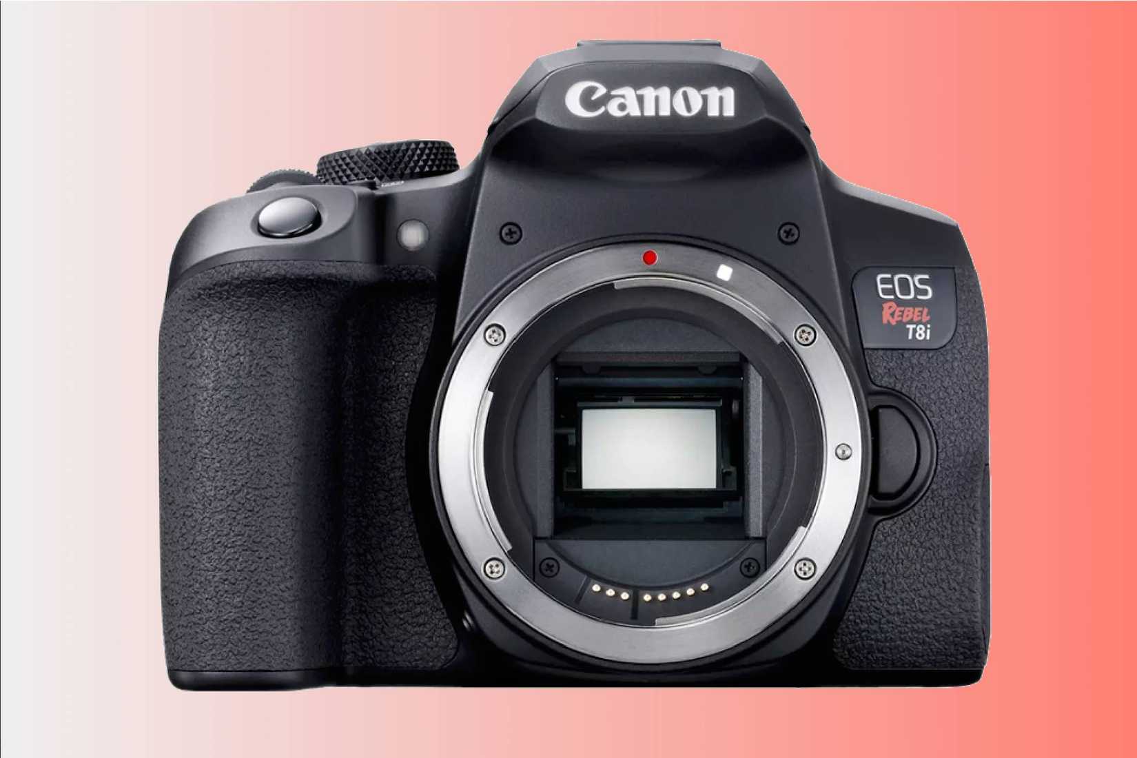 The Best DSLR Cameras of 2024