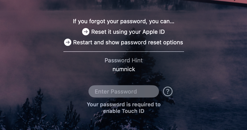 What to Do If You Forget Your Mac's Password