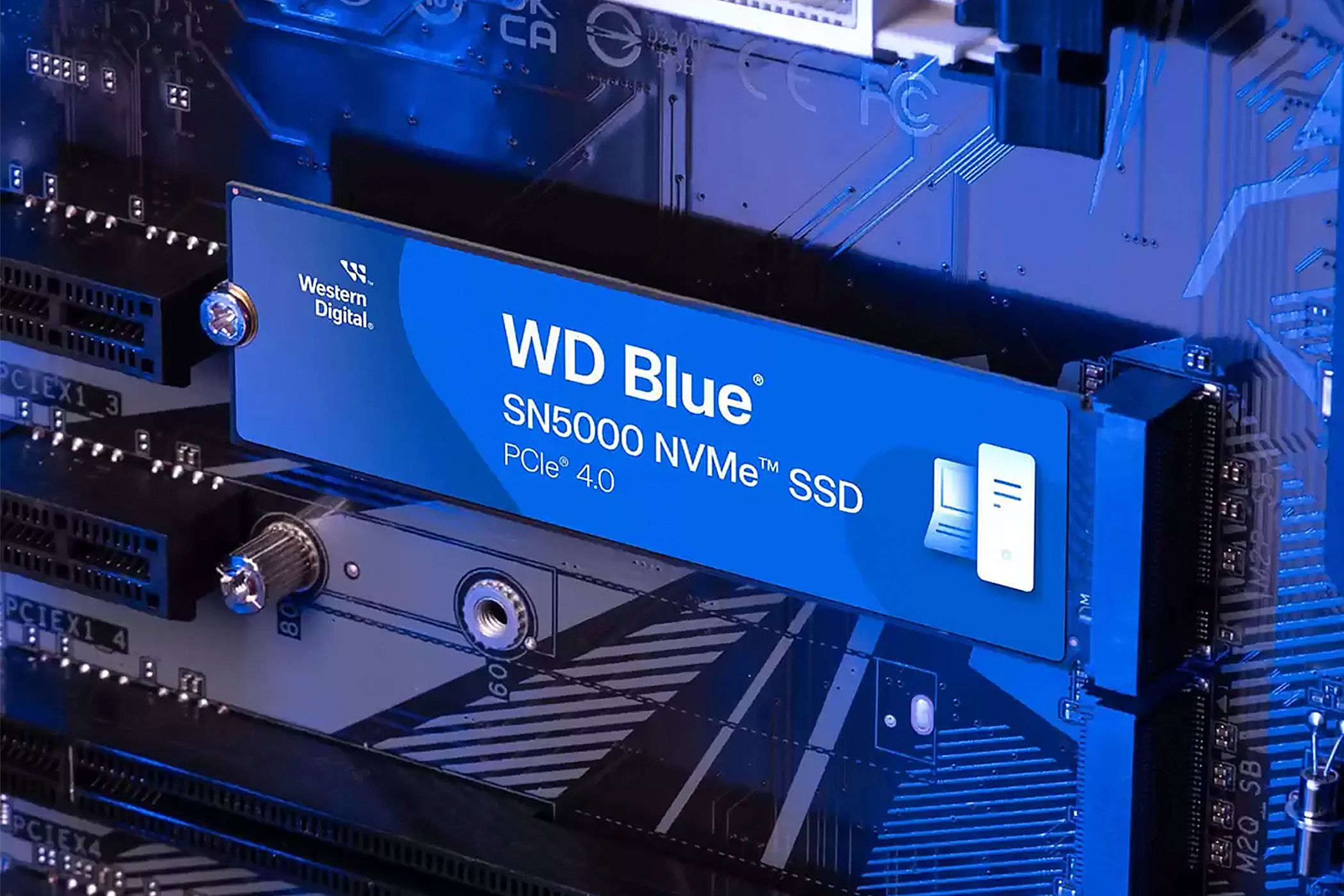 WD's Latest NVMe SSD Is Primed for Next-Gen Creative Work