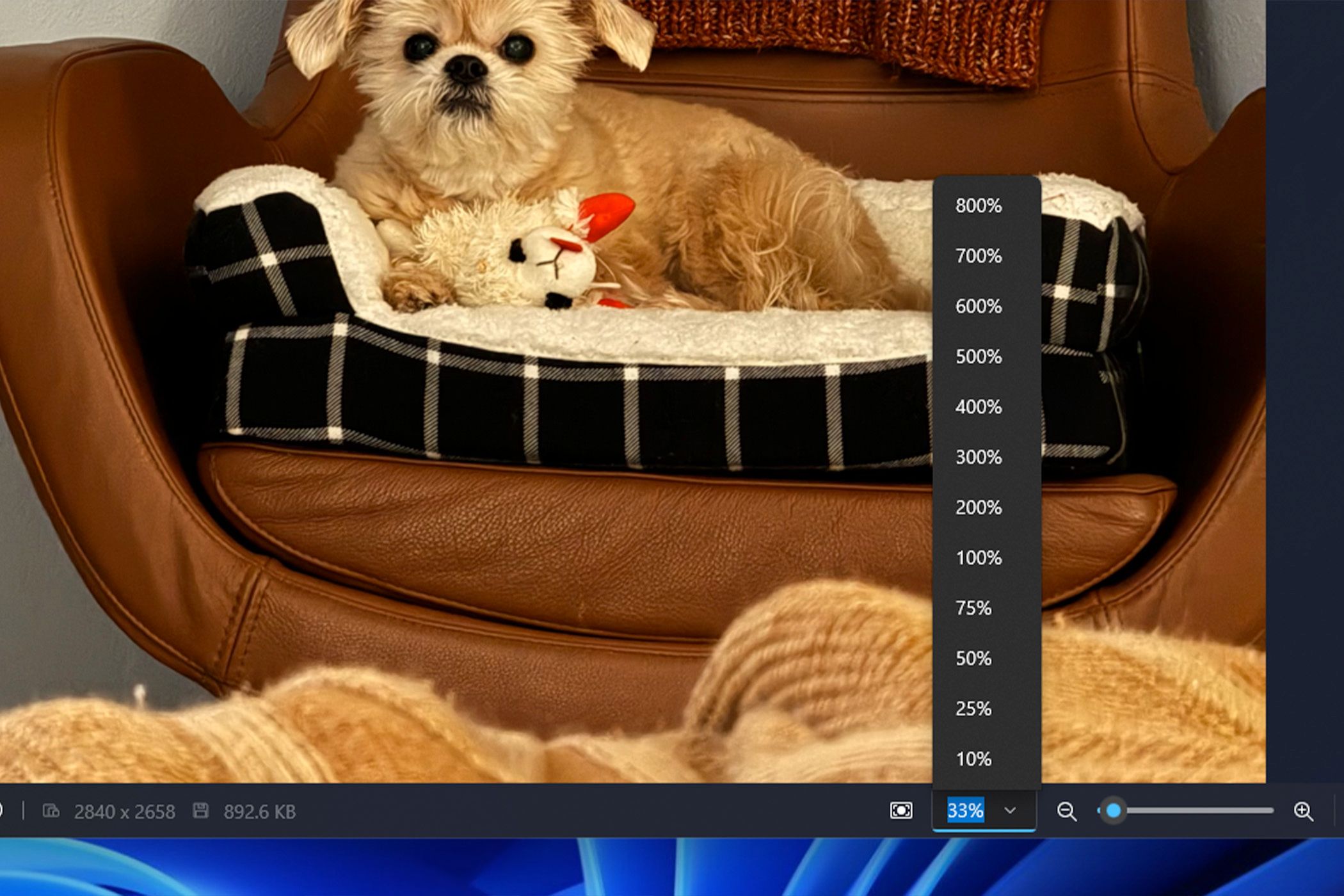 The Windows 11 Photos App Gets some Much-Needed UI Improvements