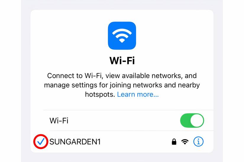 iPhone Settings Wi-Fi blue checkmark network name, iOS Wi-Fi settings connected SSID highlighted