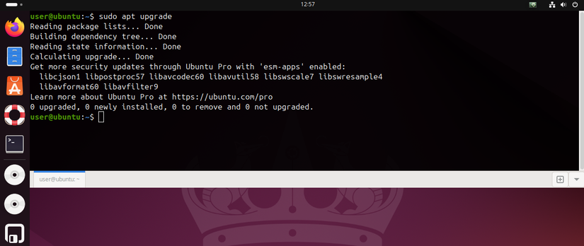 Your Default Linux Terminal Emulator Is Dull, So Take These ...