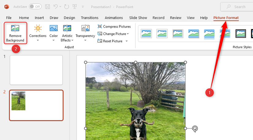 7 Things I Wish I’d Known Before I Made My First PowerPoint Presentation