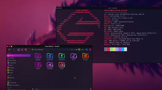 Garuda Linux Transparency Effect