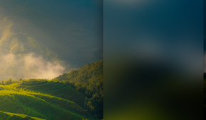 Deepin Linux UI - Notification Area