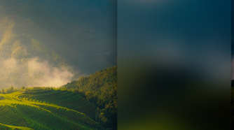 Deepin Linux UI - Notification Area