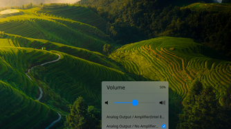 Deepin Linux UI - Quick Settings Volume Controls
