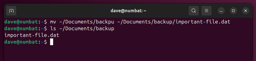 Can’t Find a File You’ve Moved on Linux? The Culprit Might be Slash