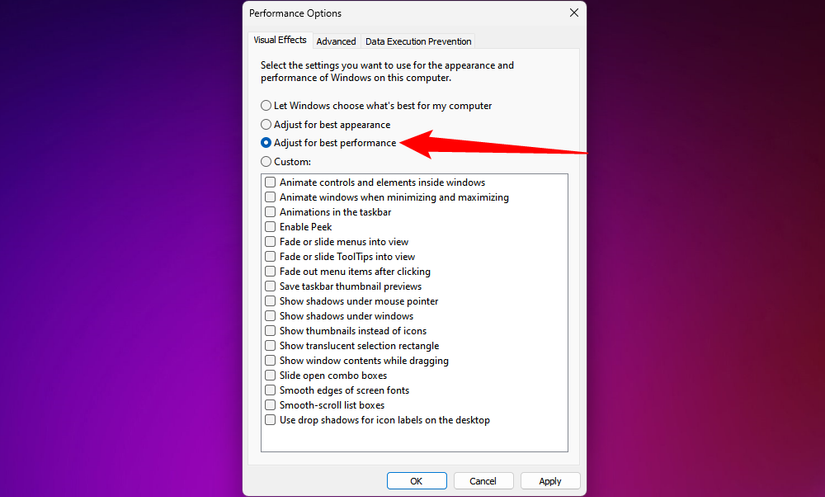 Click the button next to 'Adjust For Best Performance.'