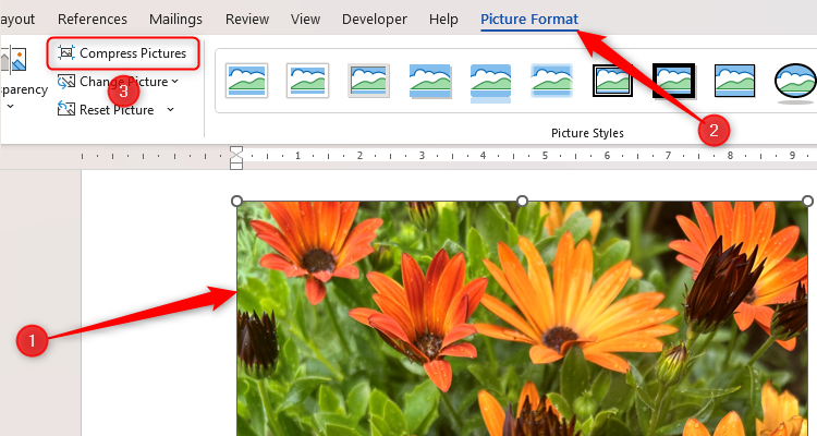 Word Document Optimisation 6 Ways to Speed Up Your Word Document