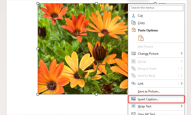 Caption Plate Layout 6 Ways to Improve Your Microsoft Word Formatting