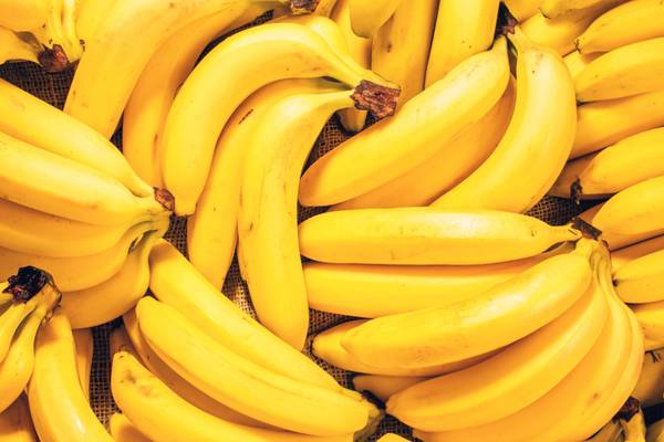 A display of ripe bananas.