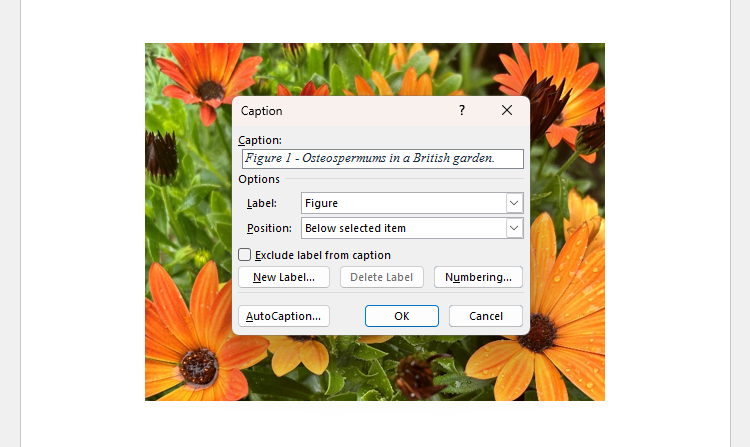 Edit Caption Word 6 Ways to Improve Your Microsoft Word Formatting