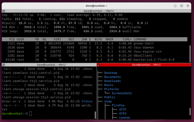 The Terminator terminal emulator with three terminal windows open.