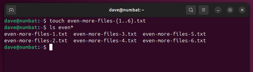 Touch Linux Command How to Use the touch Command on Linux
