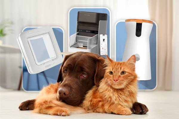 A dog and a cat left together with three gadgets in the background.