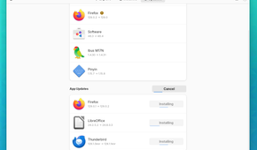 Apps in GNOME Software on Fedora Silverblue