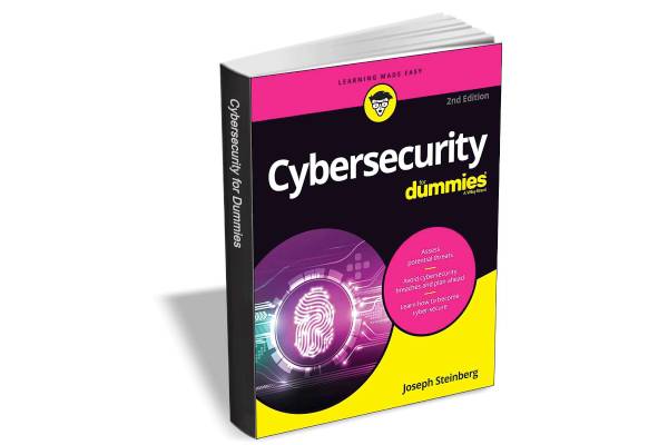 Cybersecurity for Dummies 2