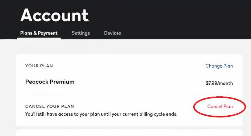 Peacock cancel plan screen.