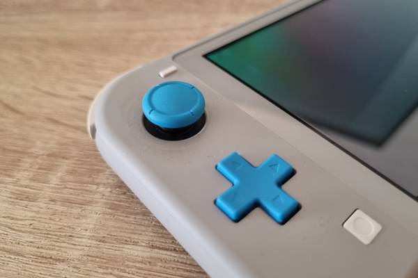 The left analog stick on a Nintendo Switch Lite. 