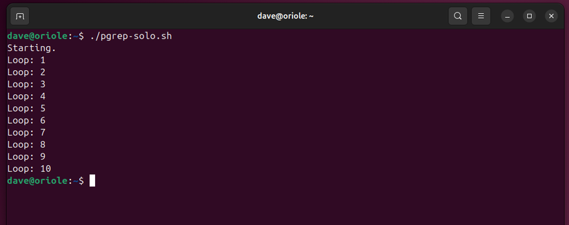 Avoid These Problems By Limiting Bash Scripts to Run Once At A Time