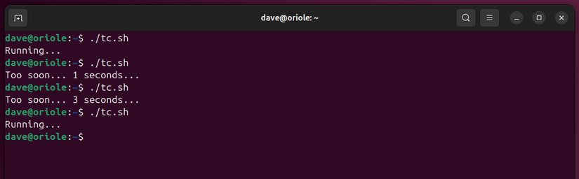 How (and Why) to Prevent a Bash Script From Relaunching Too Soon