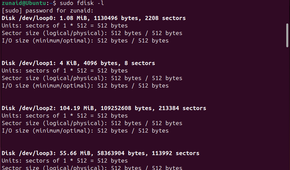 An example of all partitions listed in a Linux system.