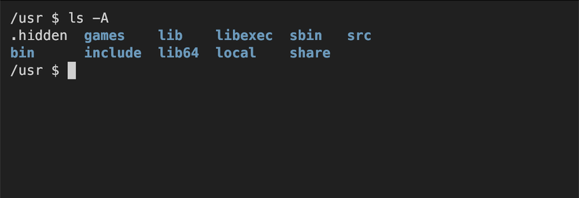 Terminal output of the ls -A command showing a hidden file but not the special files . and ..