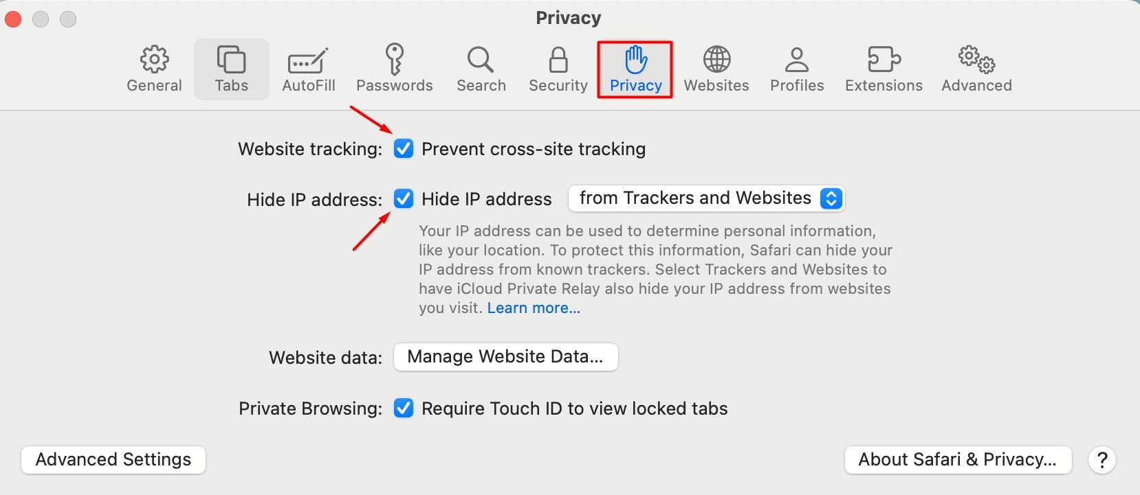 Privacy tab in the Safari browser.